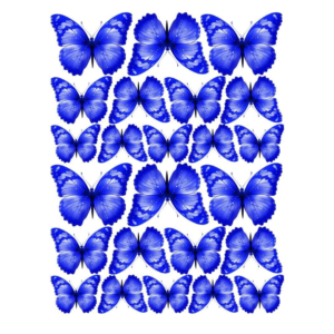 М-43