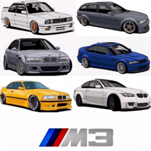 МШ-6
